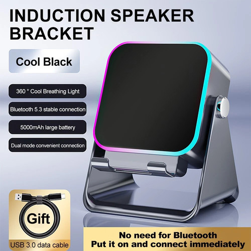 Wireless induction speaker - induction,