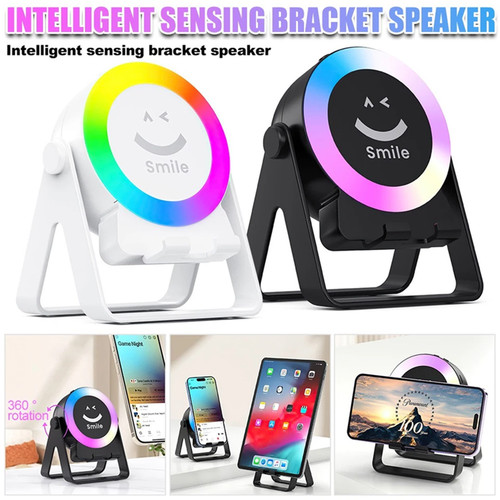 Wireless induction speaker - induction,