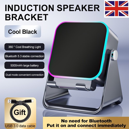 Wireless induction speaker - wireless,